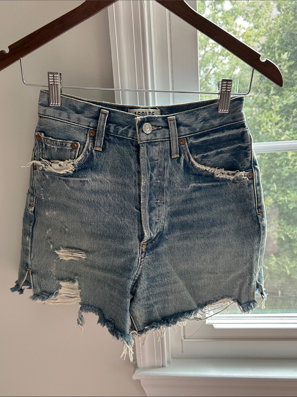Agolde Dee Shorts
